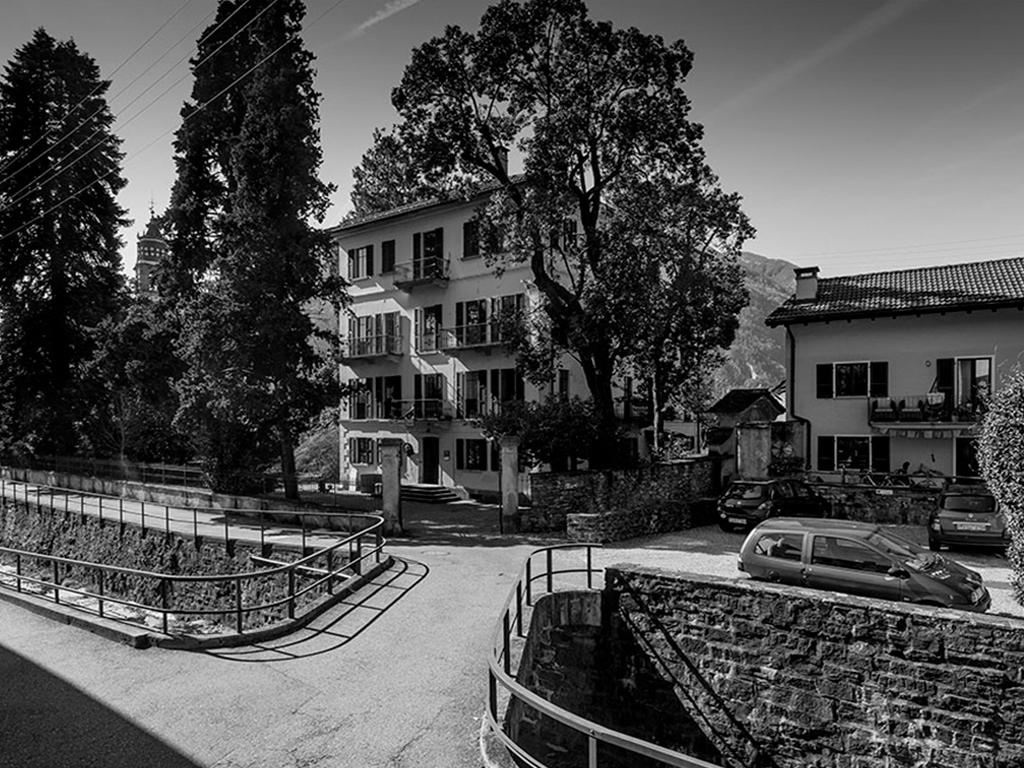 Image 3 - Dimitri und sein Reich des Humors