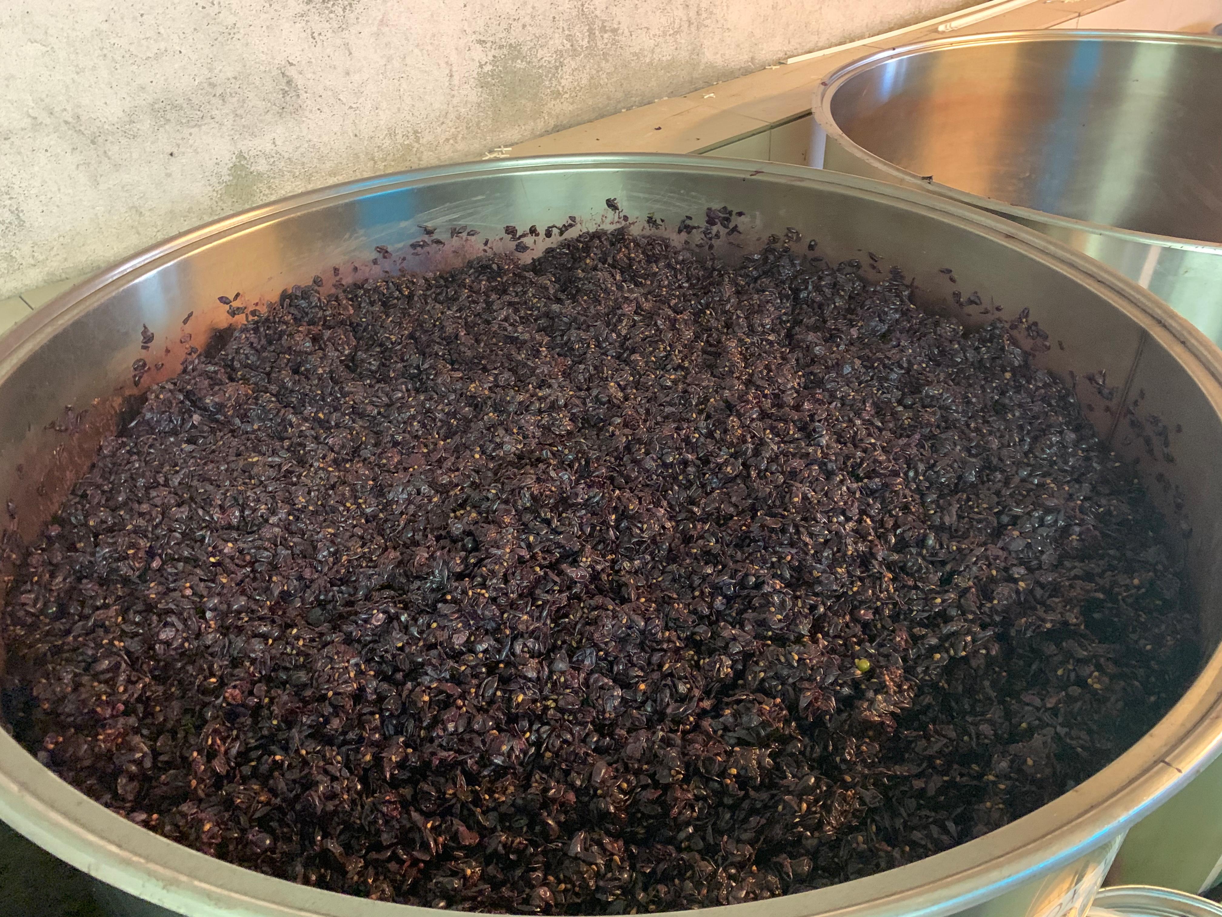 Image 5 - Weinkeller “La Segrisola”