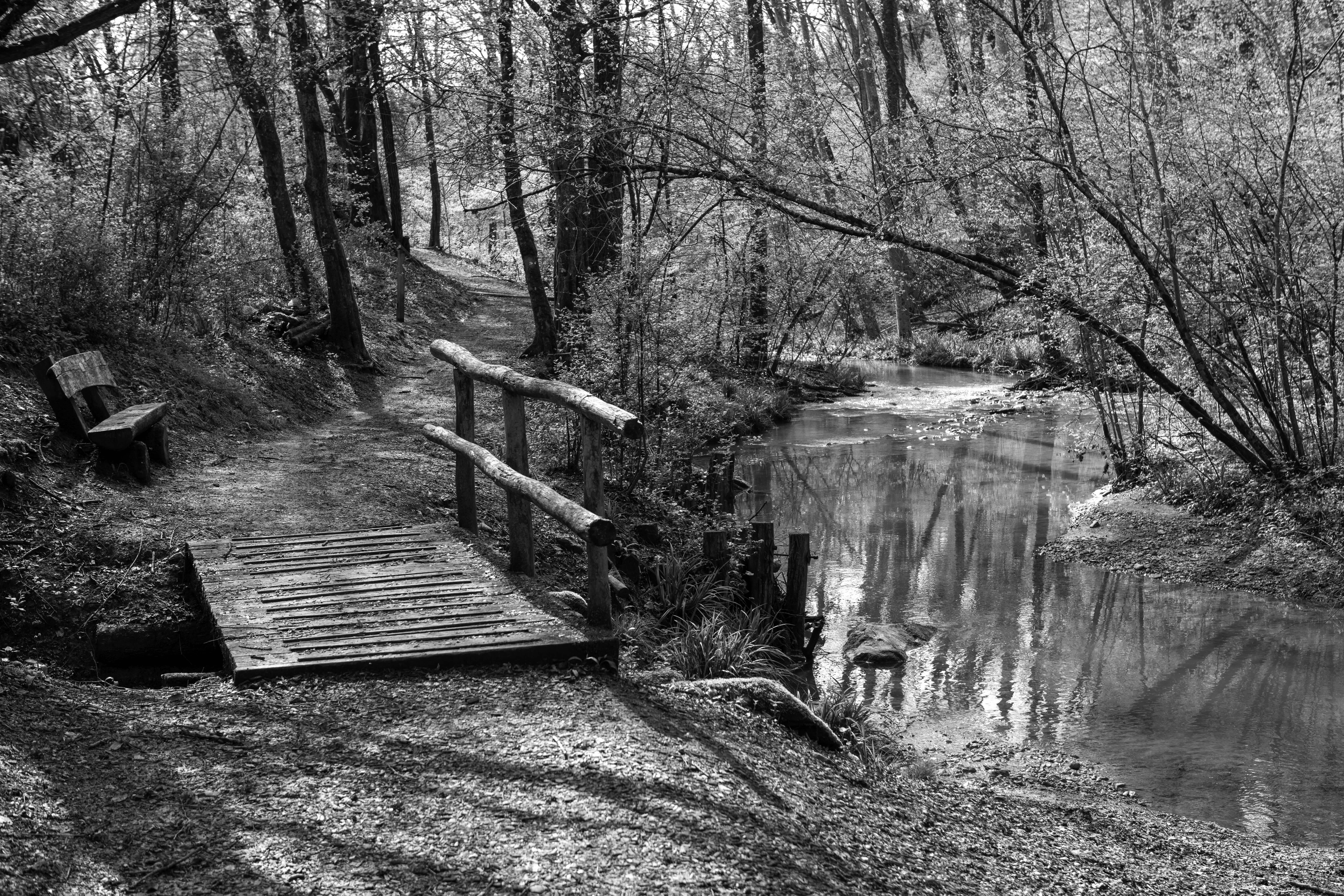 Image 2 - 