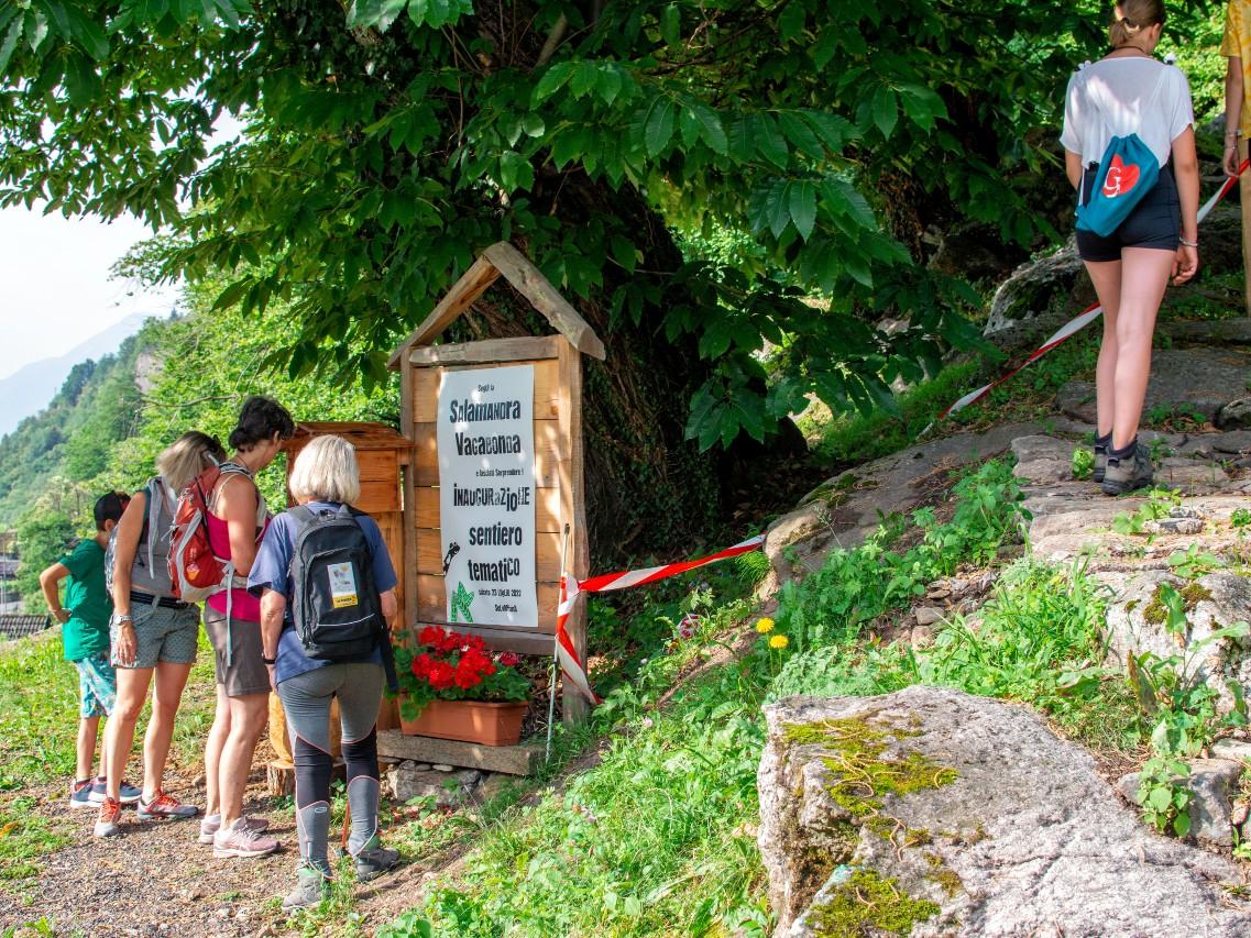 Image 2 - Schatzsuche – Salamandra Vagabonda