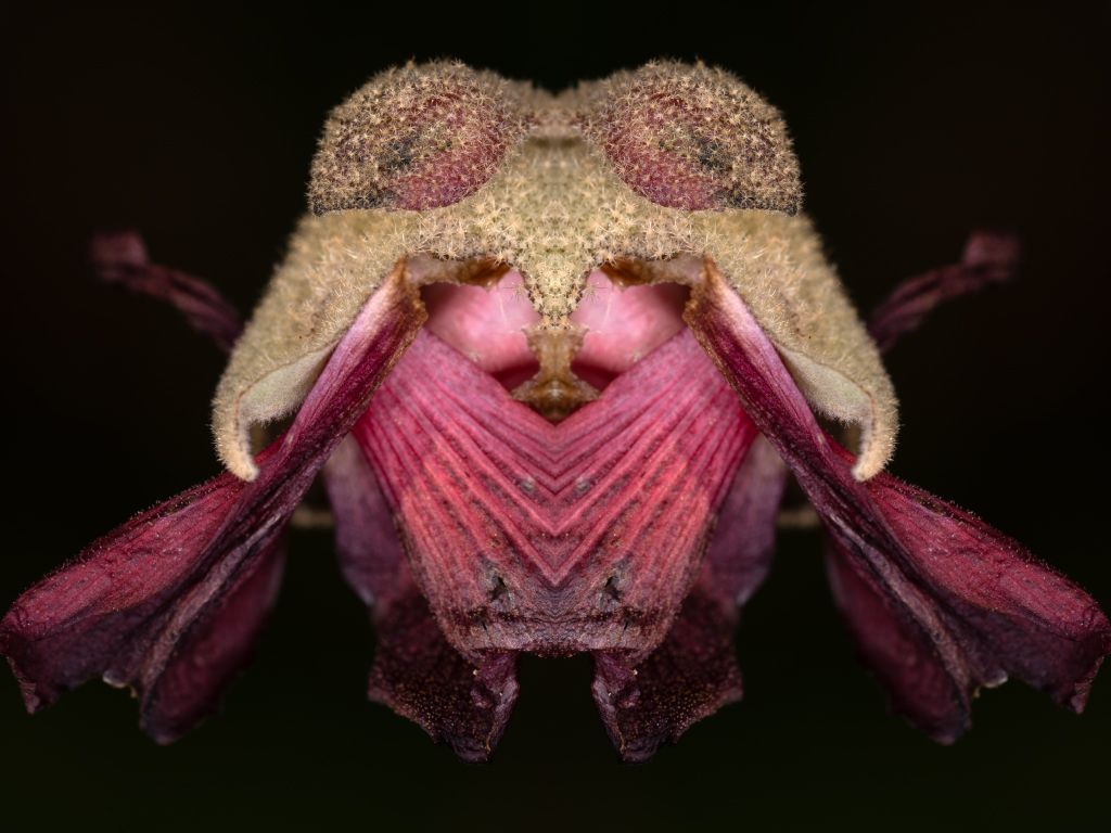 Image 0 - 