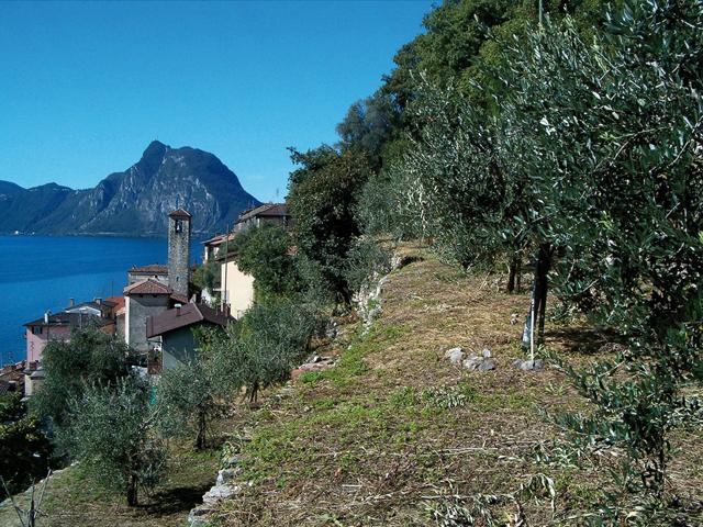 Image 2 - Parco degli ulivi