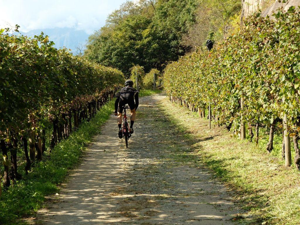 Image 9 - Velo Café Bar - Store e Customs 