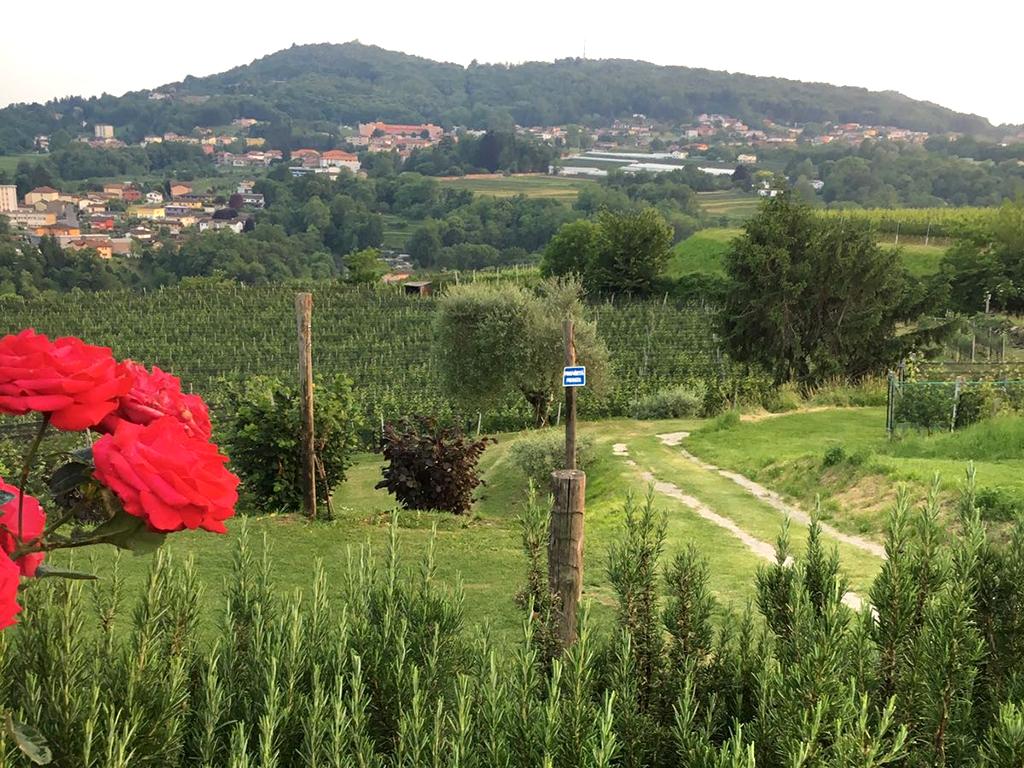 Image 1 - Tenuta Vitivinicola Trapletti SA