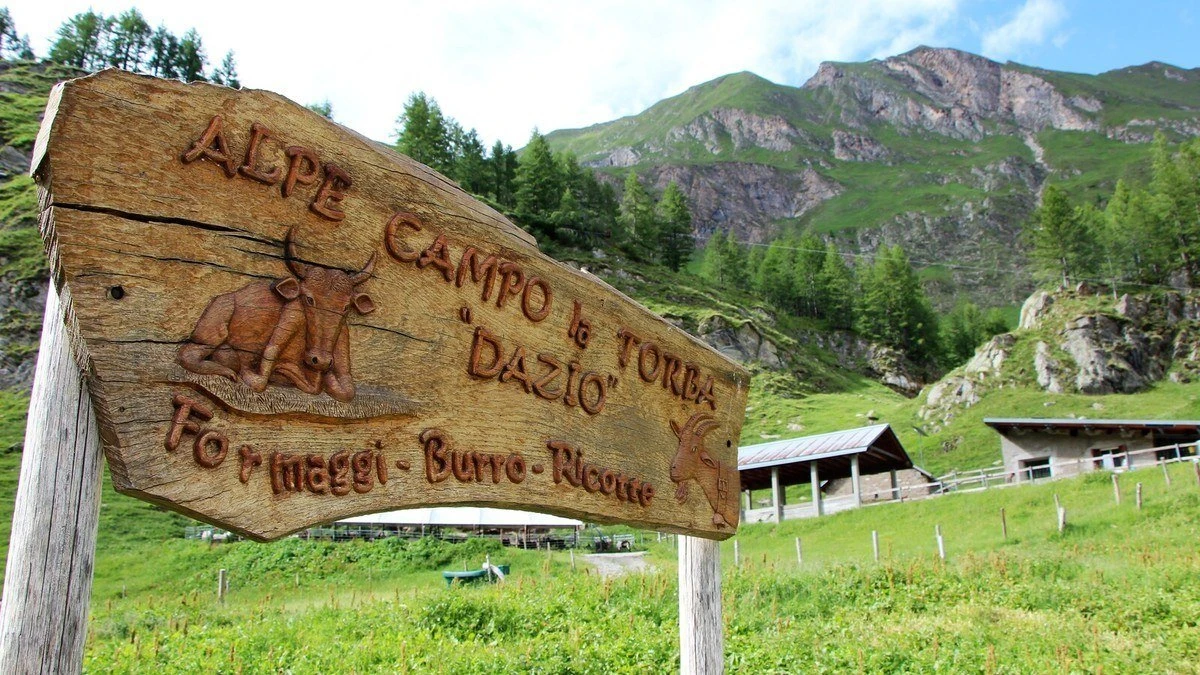 Image 0 - 1° Agosto all'Alpe Campo la Torba Image 0 -