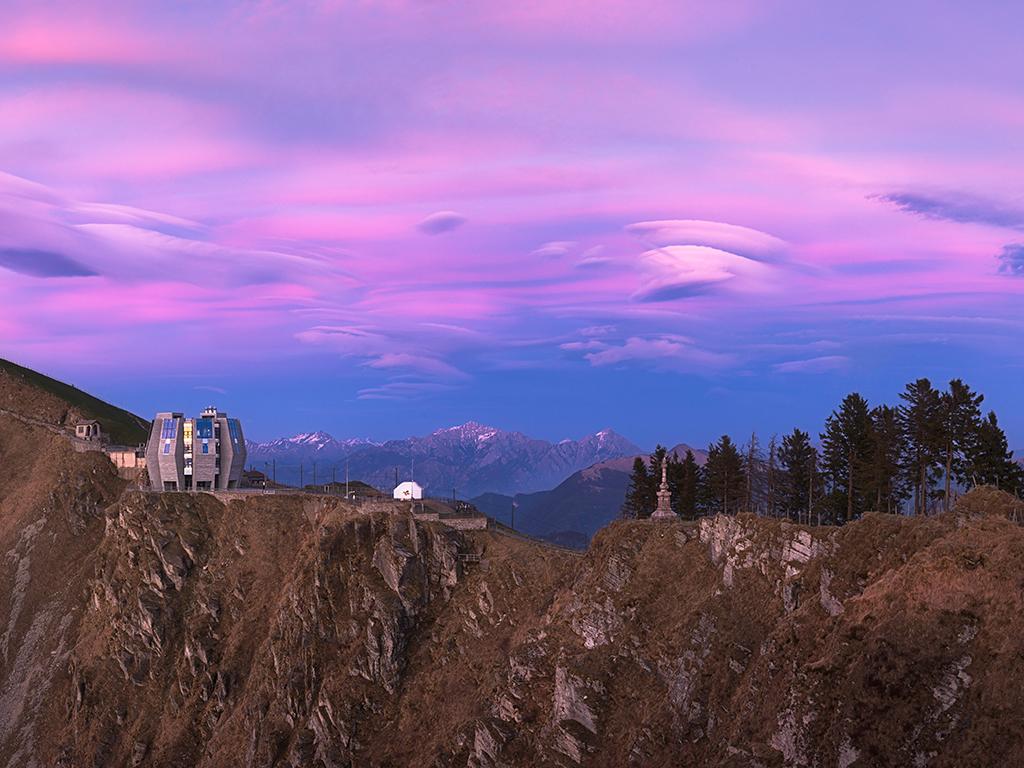 Image 2 - Steinblume - Monte Generoso