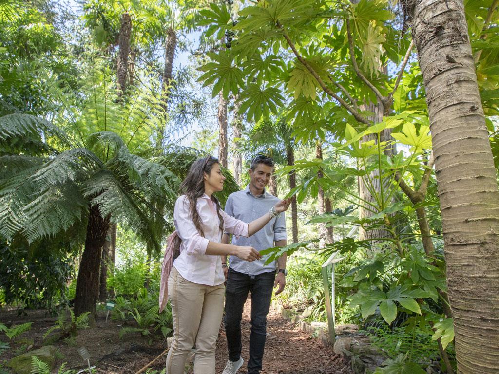 Îles de Brissago - Jardin Botanique