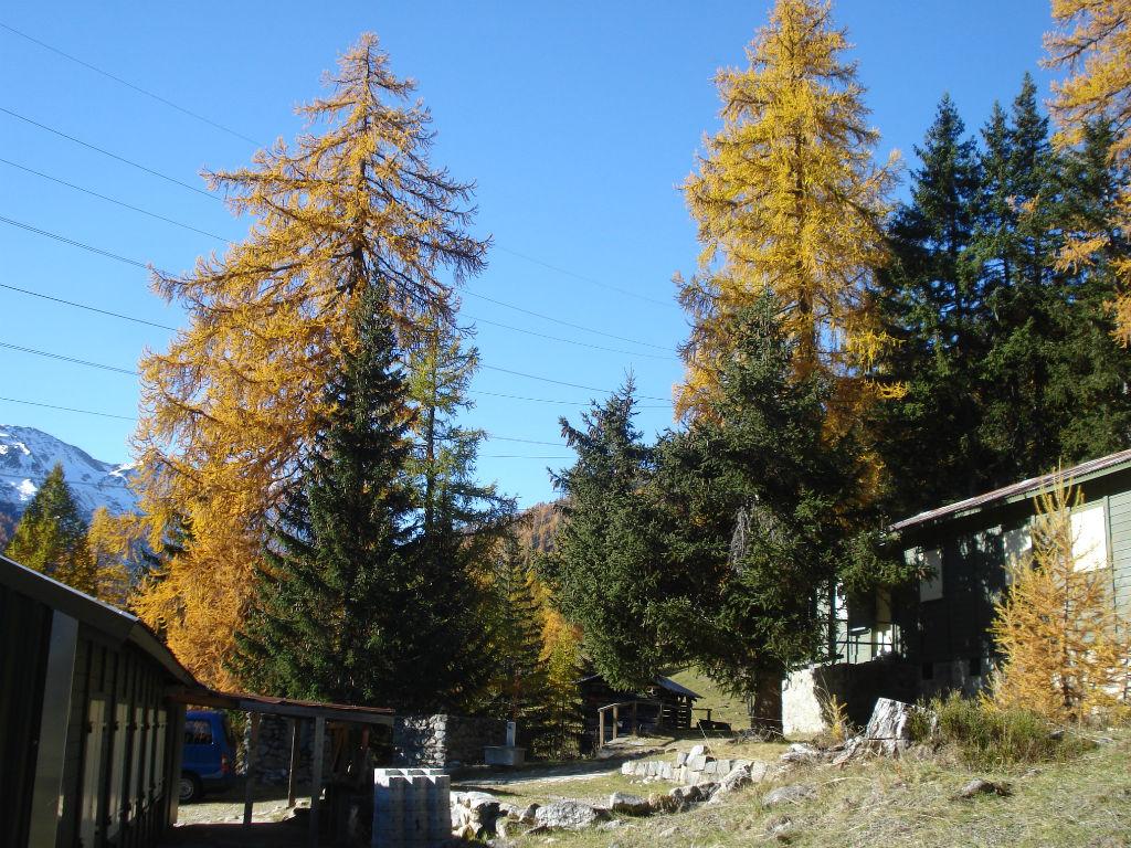 Image 1 - Foyer Bedretto 