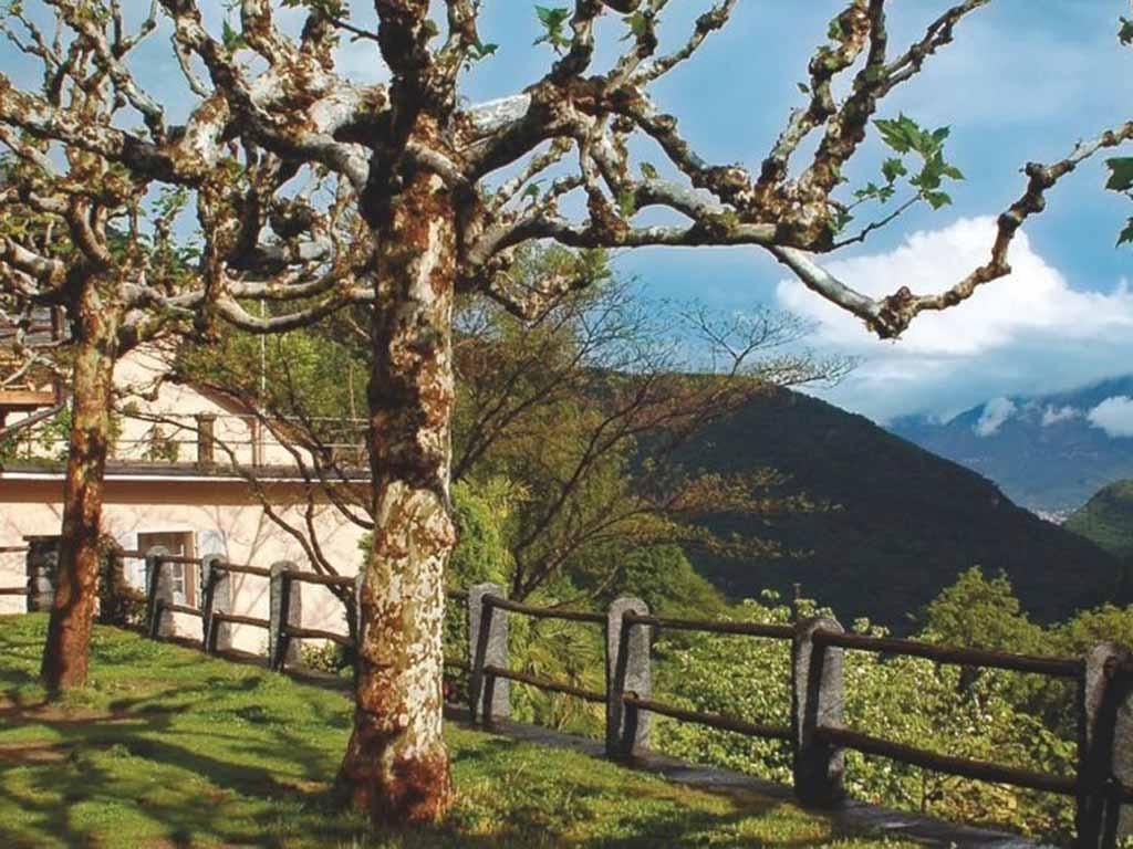 Image 2 - Intreccio con la paglia