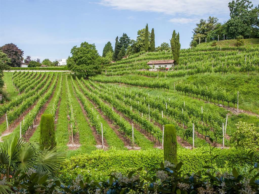 Image 65 - Park Hotel Principe