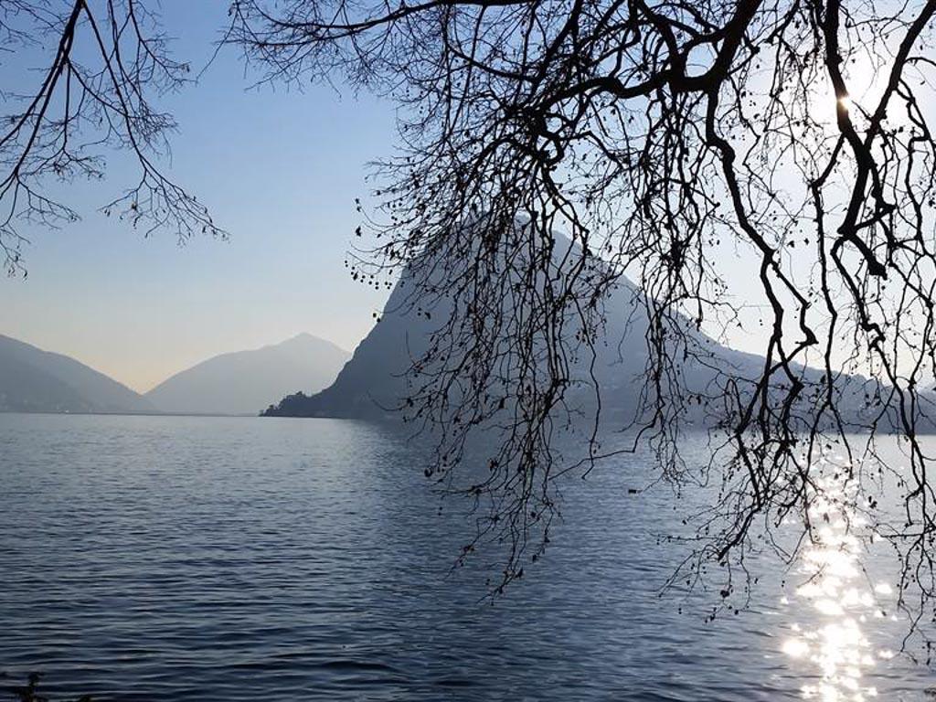 Image 5 - Hotel Pestalozzi Lugano