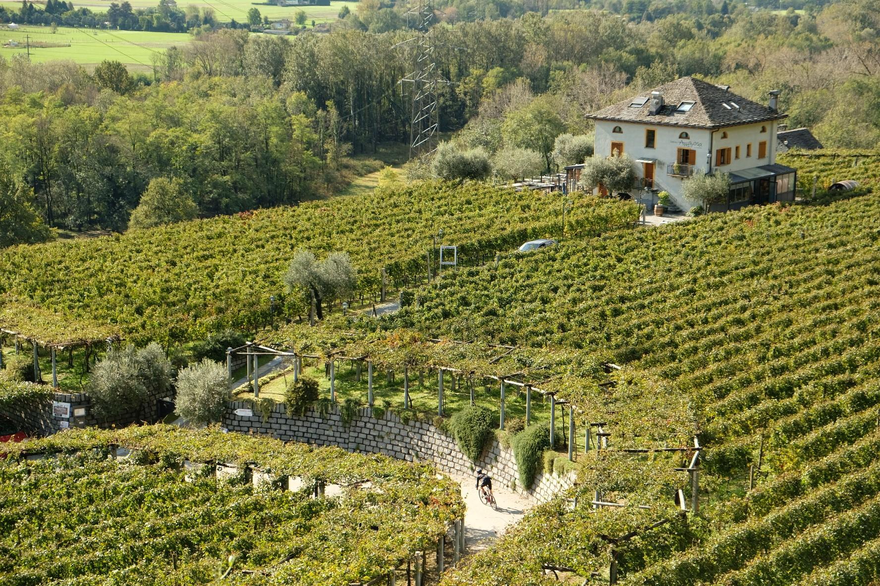 Image 2 - Guided Tour - Velo Café