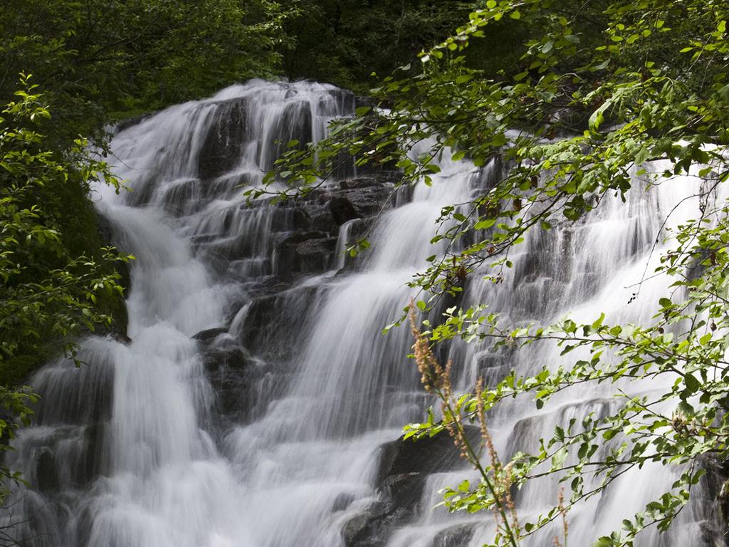 Image 8 - Palazzo Gamboni swiss historic hotel