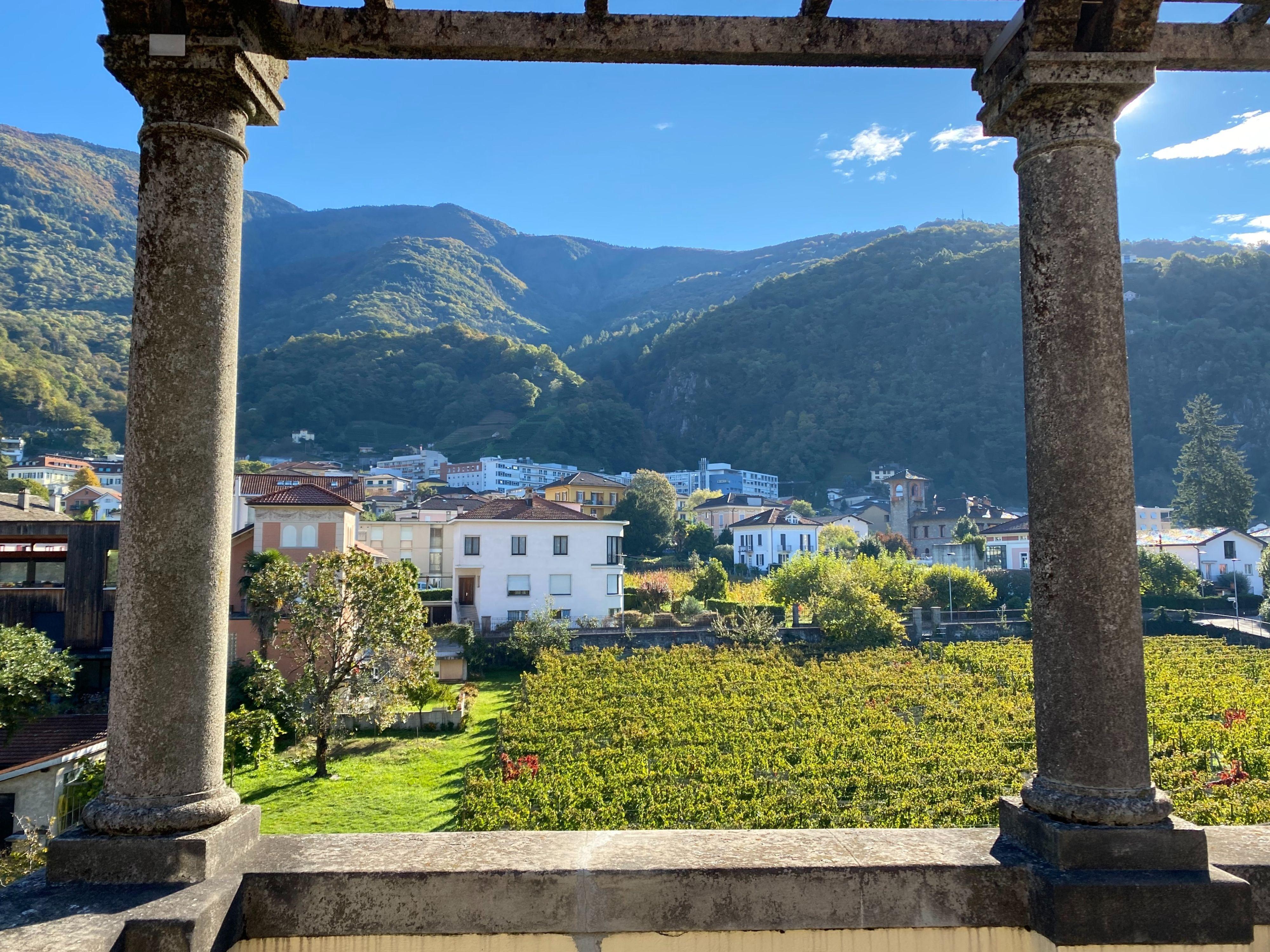 Image 8 - Museum Villa dei Cedri