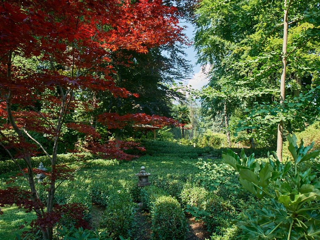 Image 0 - Teegarten und Casa del Tè - Monte Verità