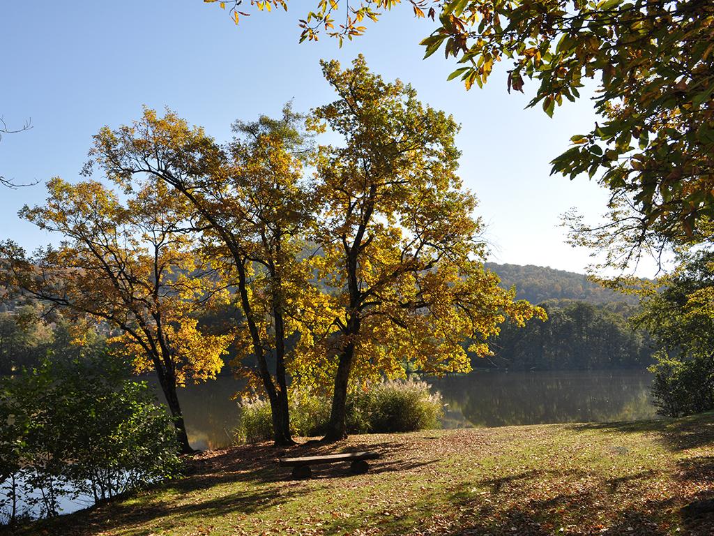 Image 7 - Laghetto di Origlio