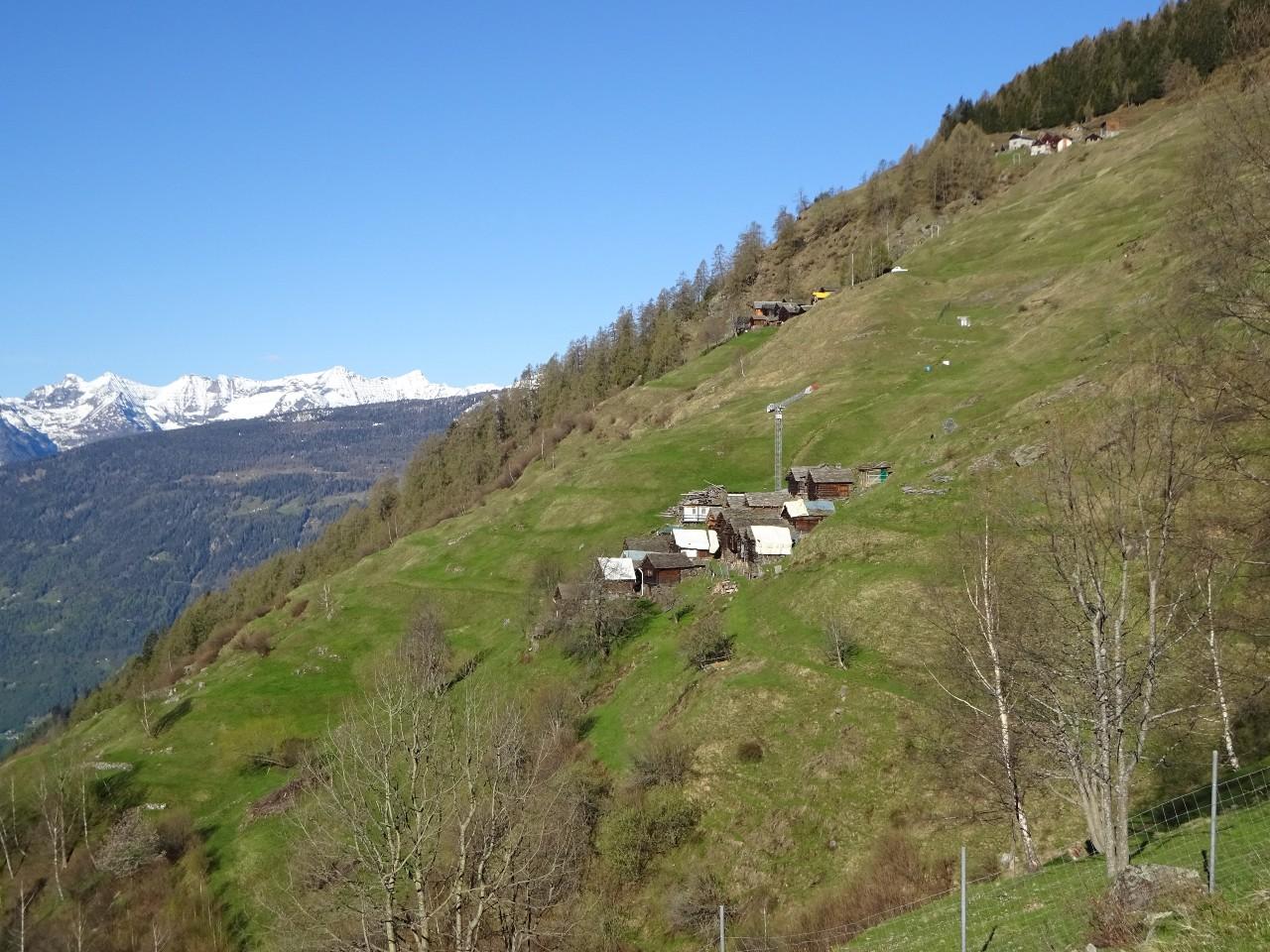 Image 5 - Germanionico