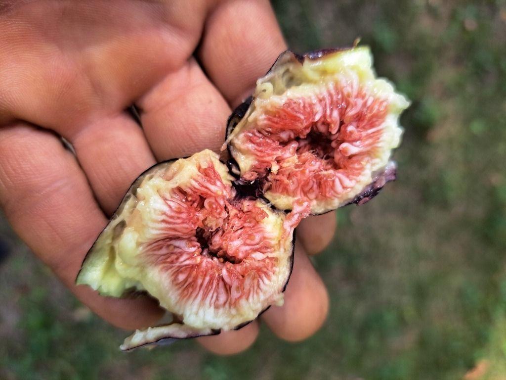 Image 3 - Camp Biotopo Mundra