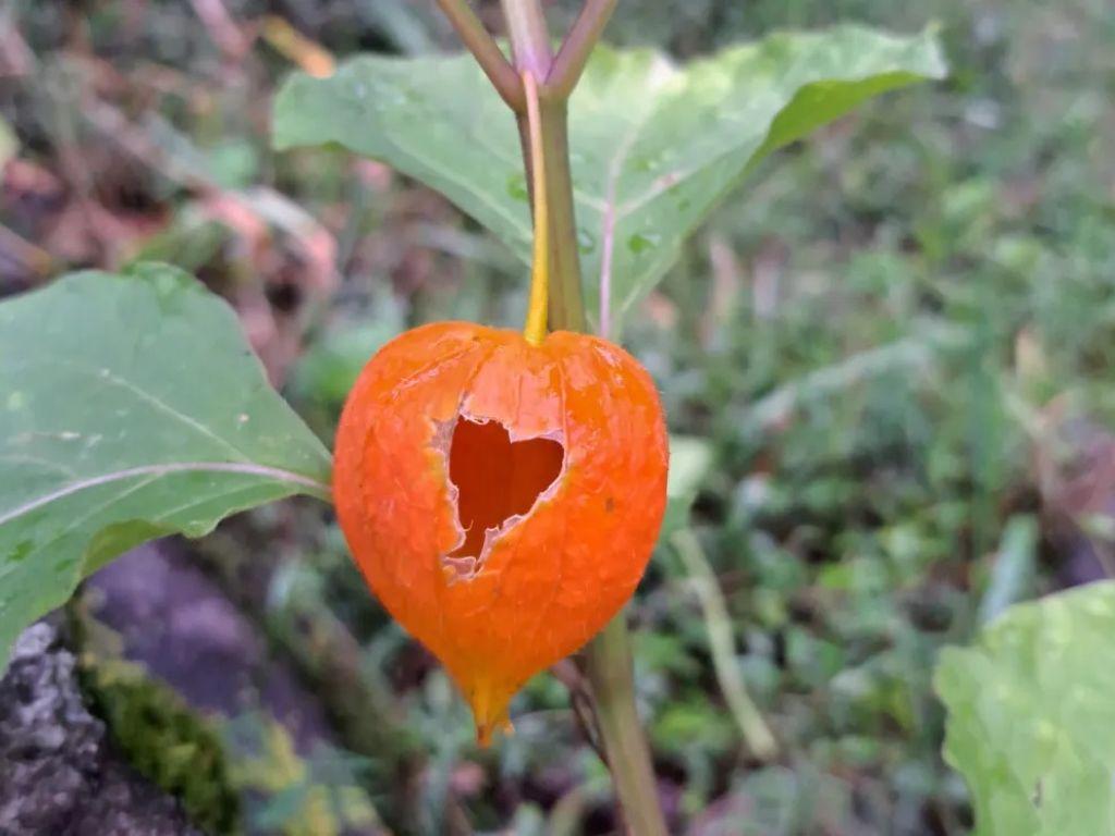 Image 4 - Camp Biotopo Mundra