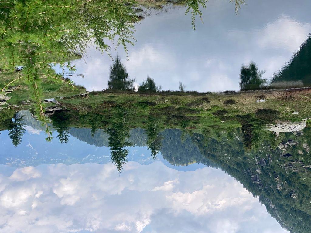 Image 2 - Waldreservat Val Marcri