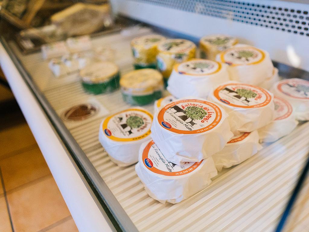 Image 1 - Fattoria del Faggio