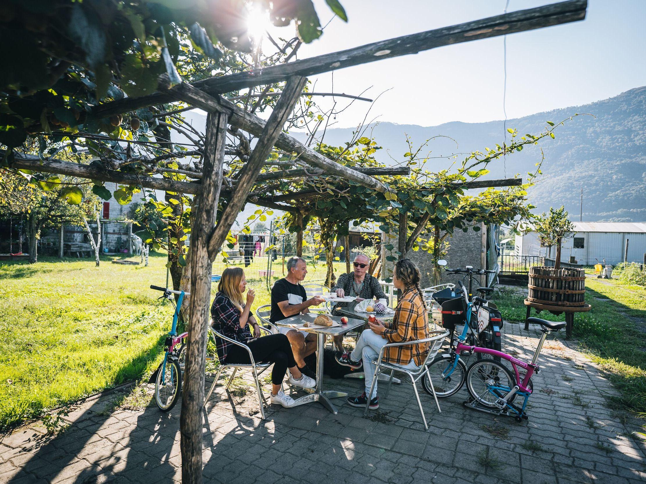 Image 8 - SUSPENDU - La spesa in fattoria