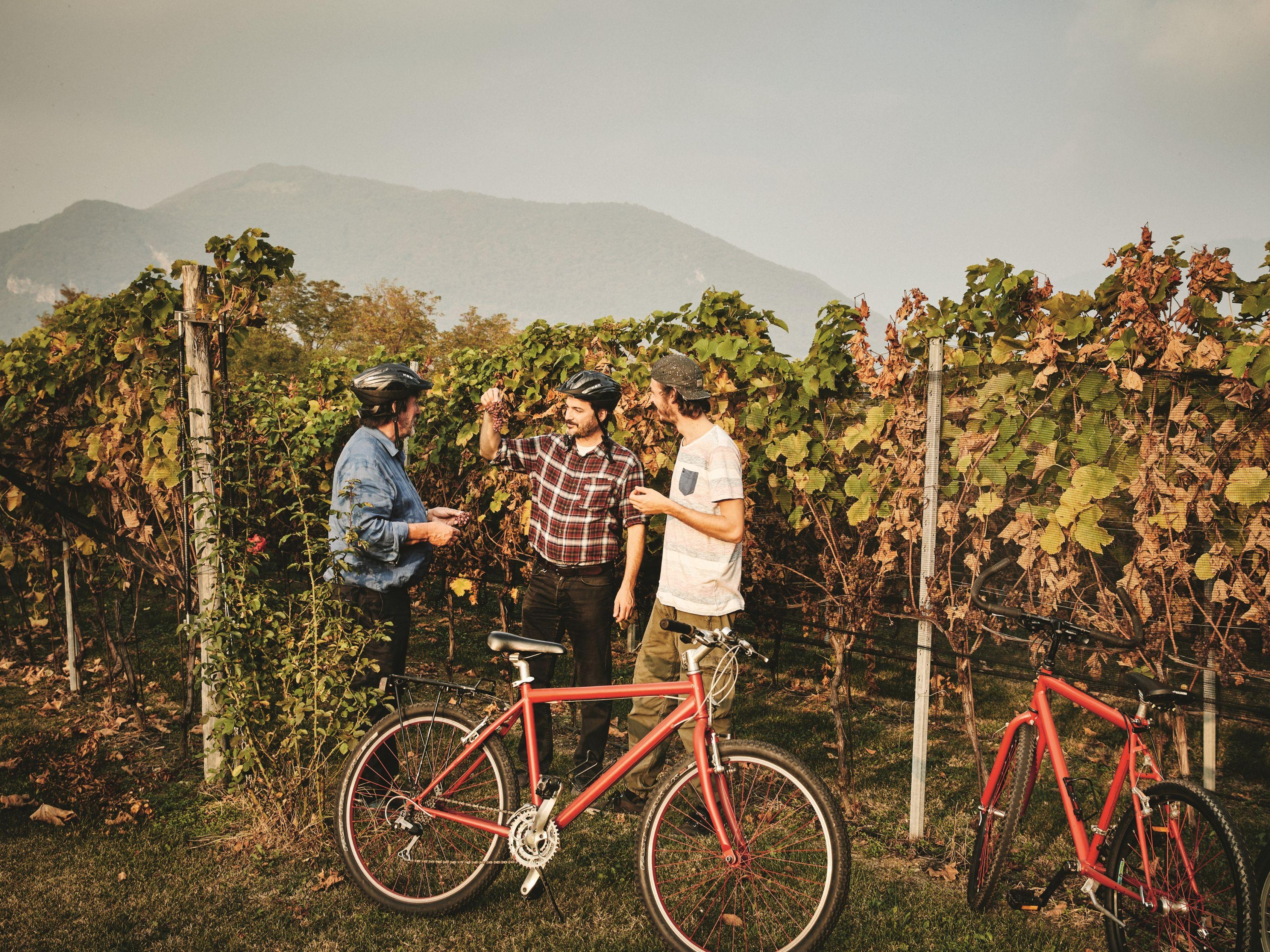 Image 9 - Inticino - Local and sustainable experiences