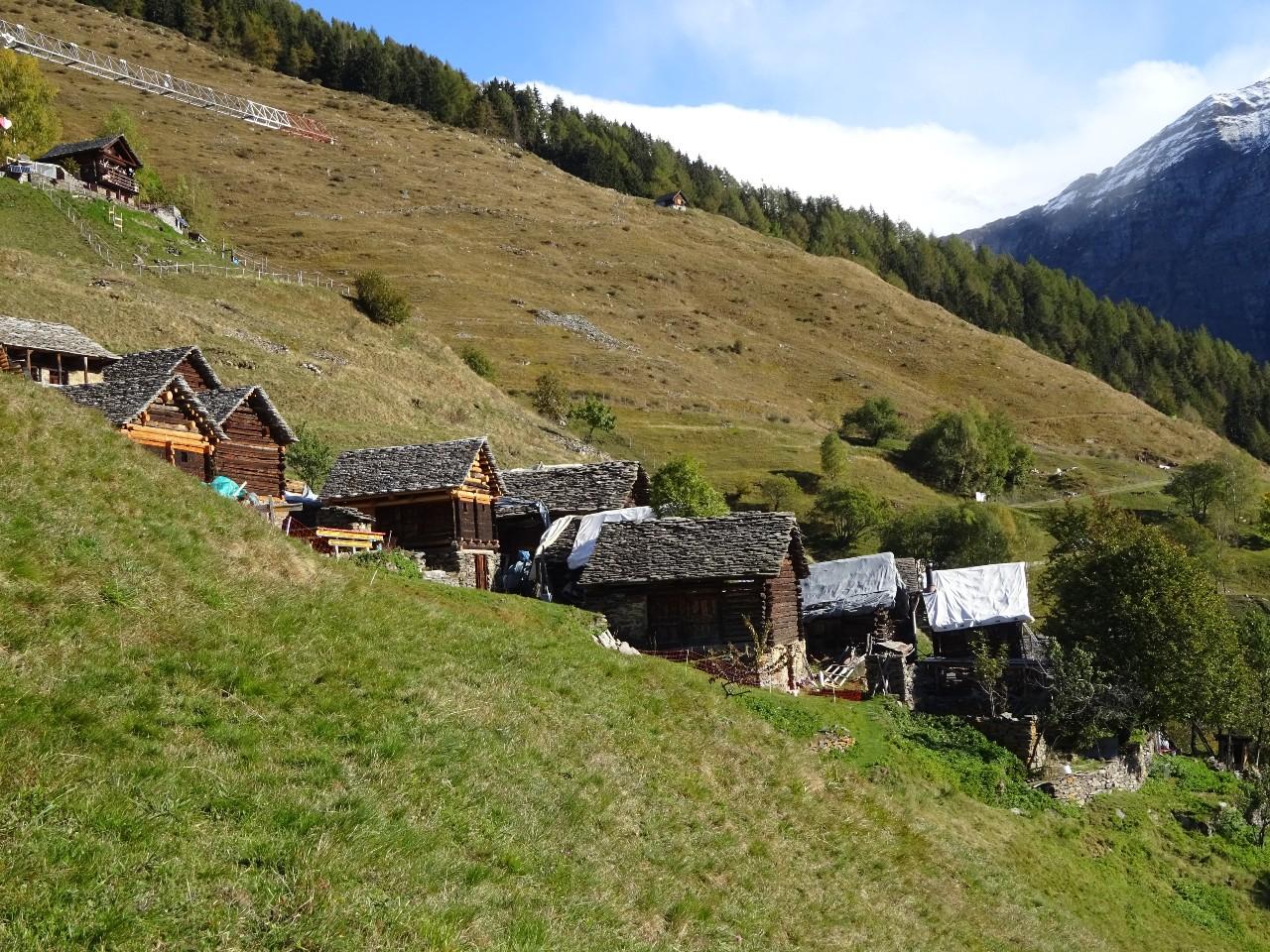 Image 2 - Germanionico