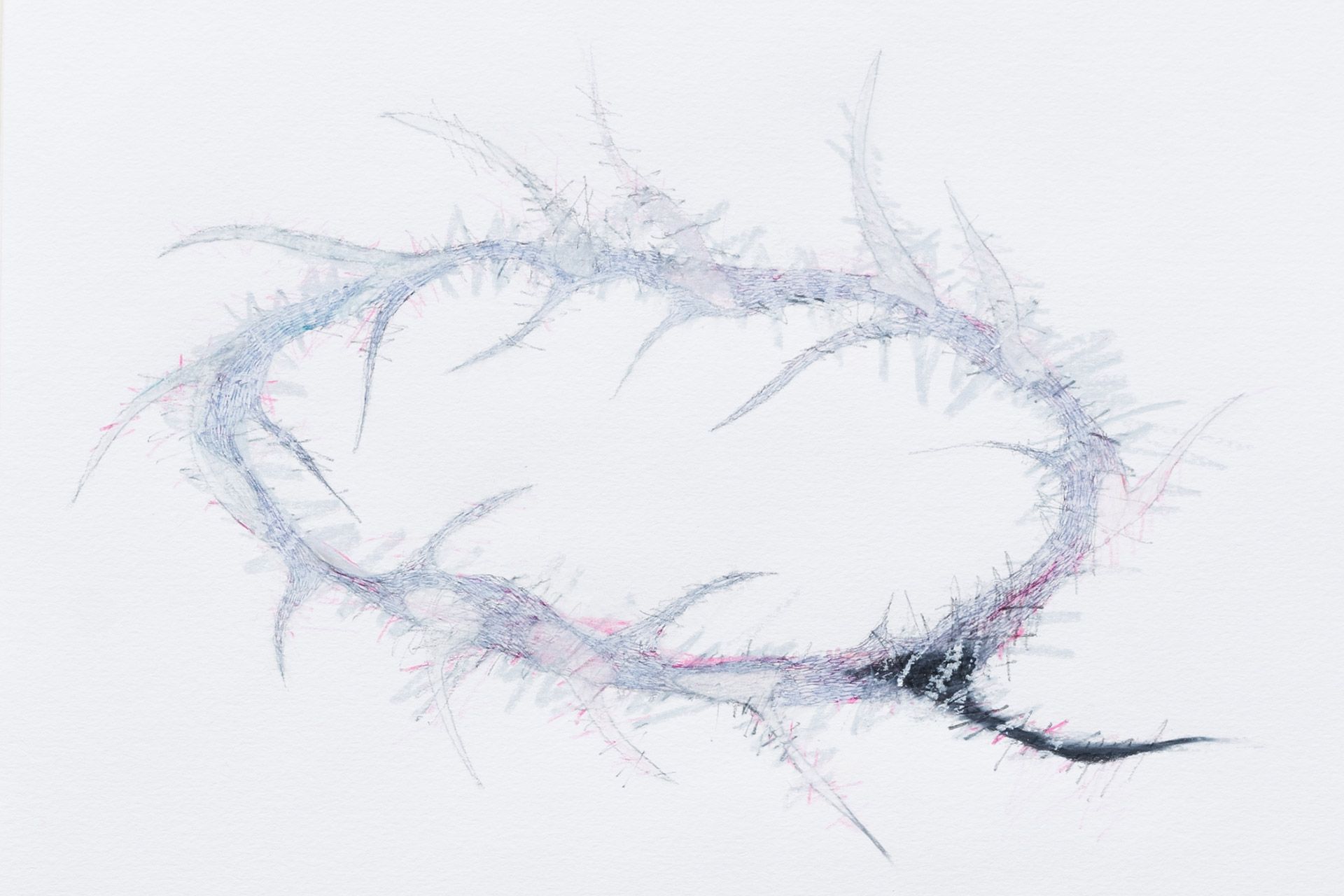 Carousel image 1