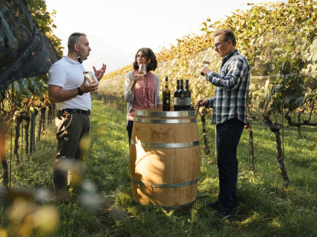 Image 4 - Visits and tastings at Cantina alla Maggia