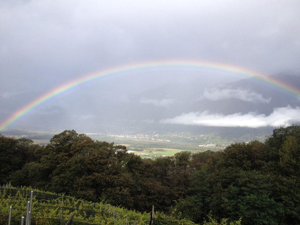Image 3 - Agriturismo La Vigna