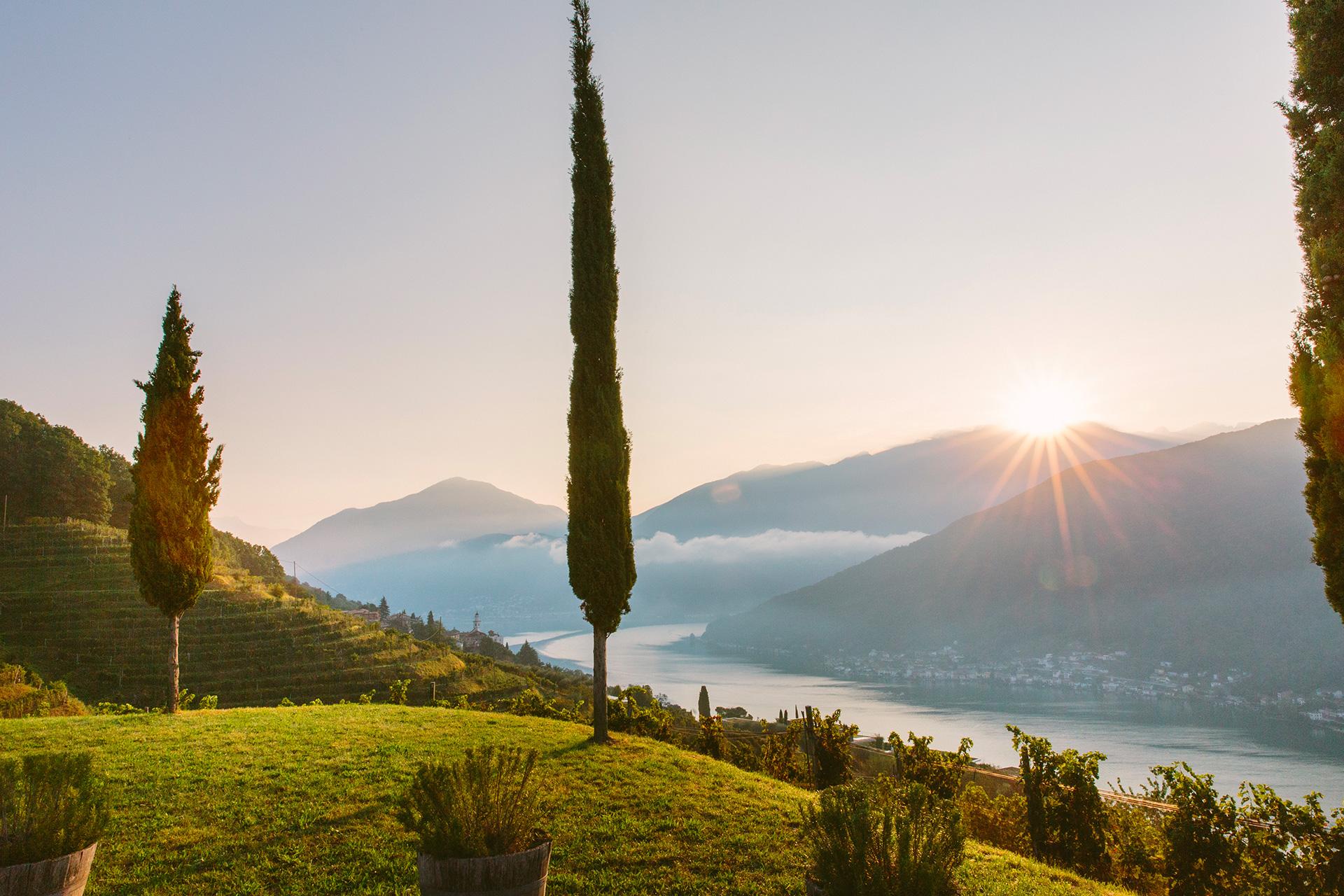 Image 12 - Tenuta Castello di Morcote