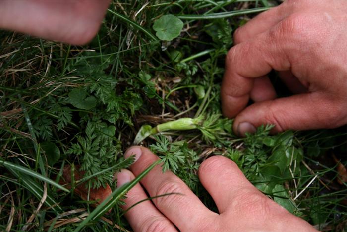 Image 2 - Geführte Besichtigung 