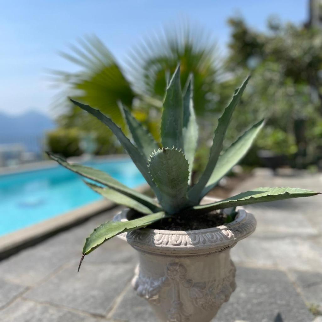 Image 0 - Casa Sonora