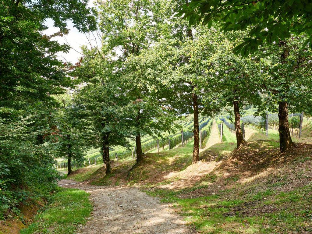 Image 2 - Parco del Penz