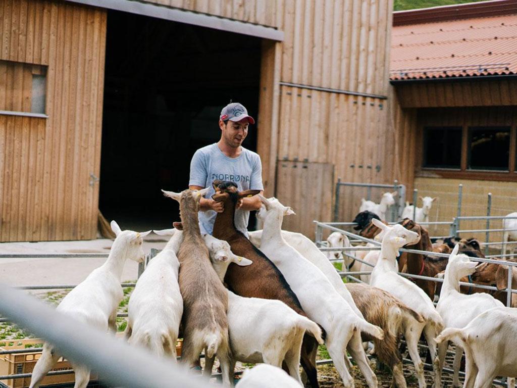 Image 3 - Fattoria del Faggio