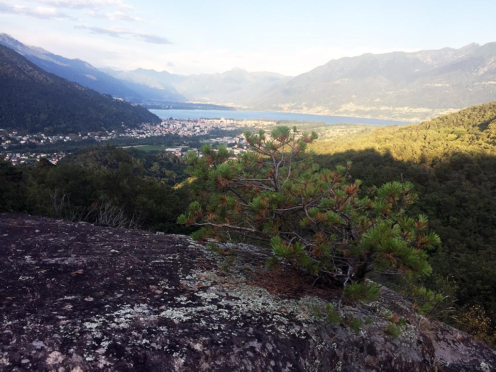 Image 7 - Discover the Maia Woodland