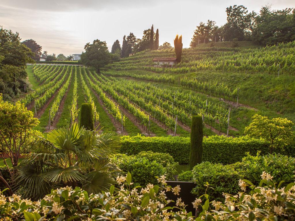 Image 63 - Park Hotel Principe