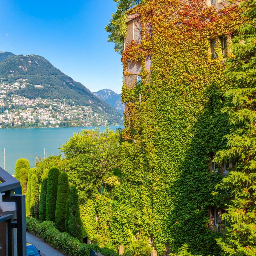 Image 0 - Coloratura - Happy Rentals