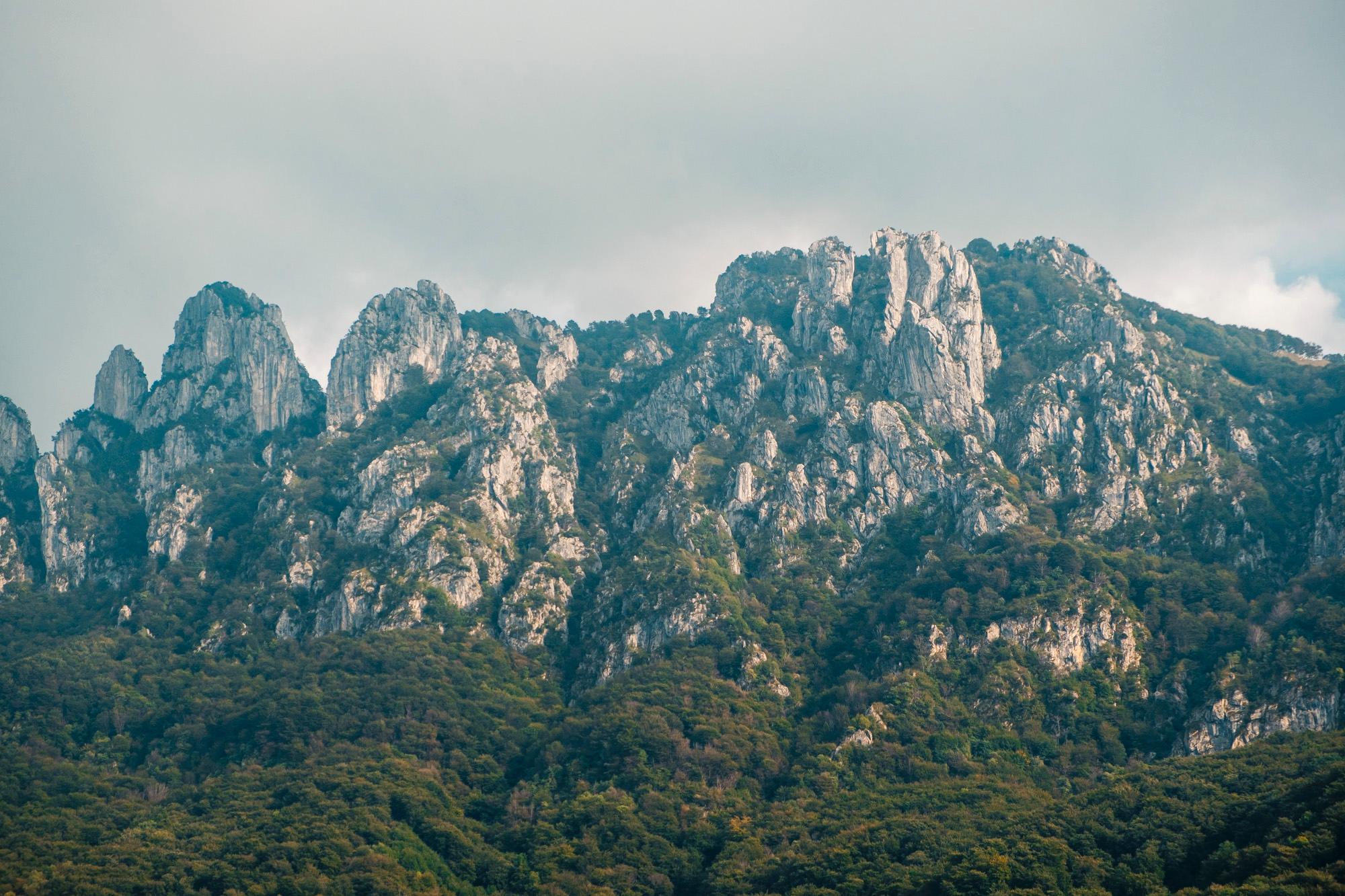 Image 2 - Discovering treasures in the Lugano area