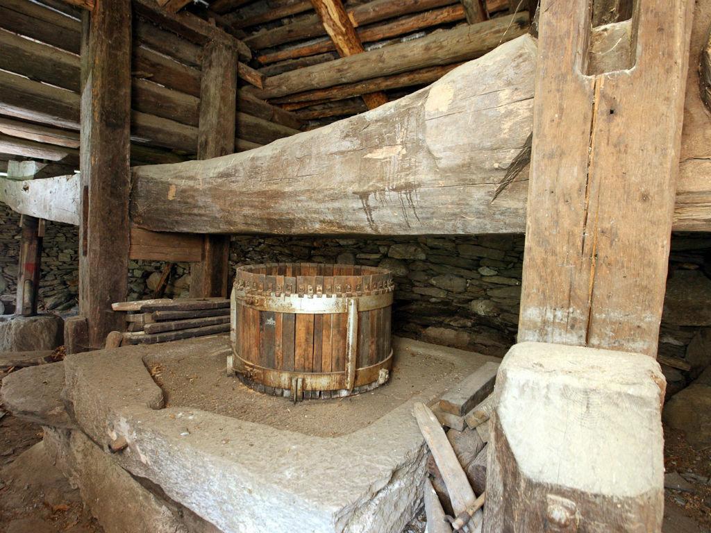 Image 2 - Grotto Canvett