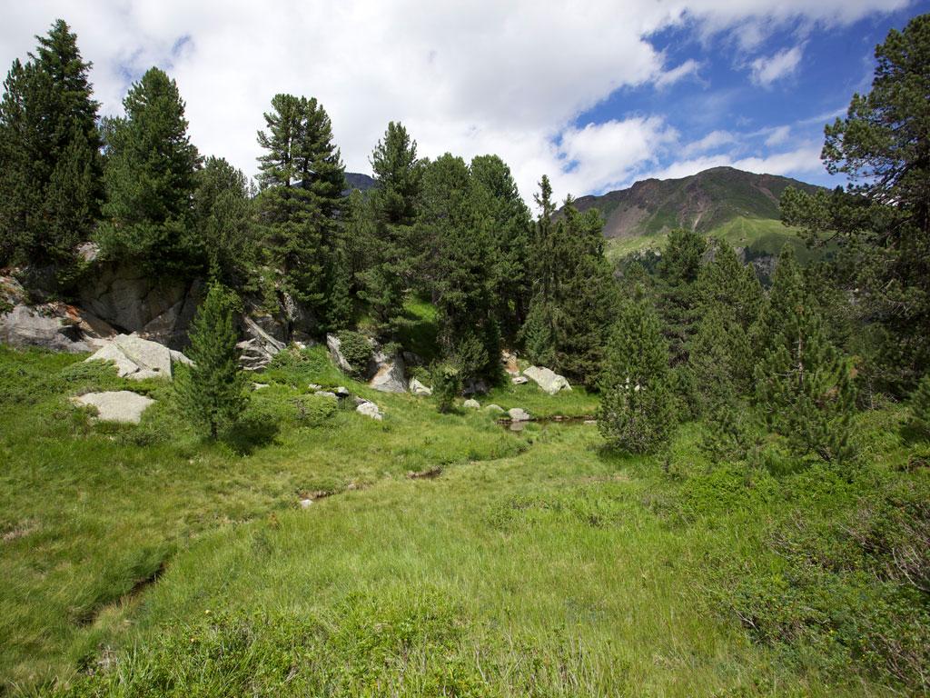 Image 2 - Naturetum - Centro Pro Natura Lucomagno