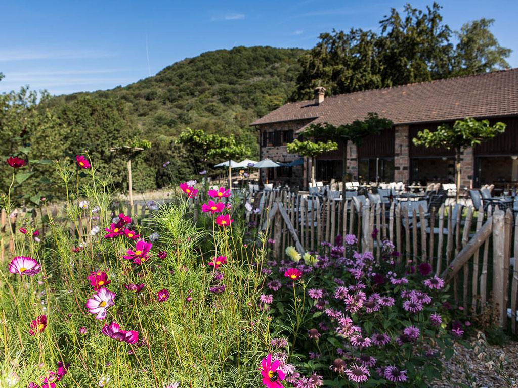 Image 8 - Ristorante Vicania