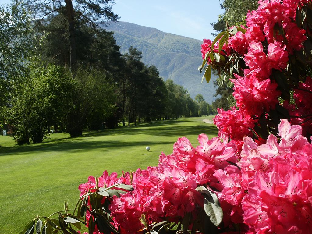 Image 5 - Golf Ascona