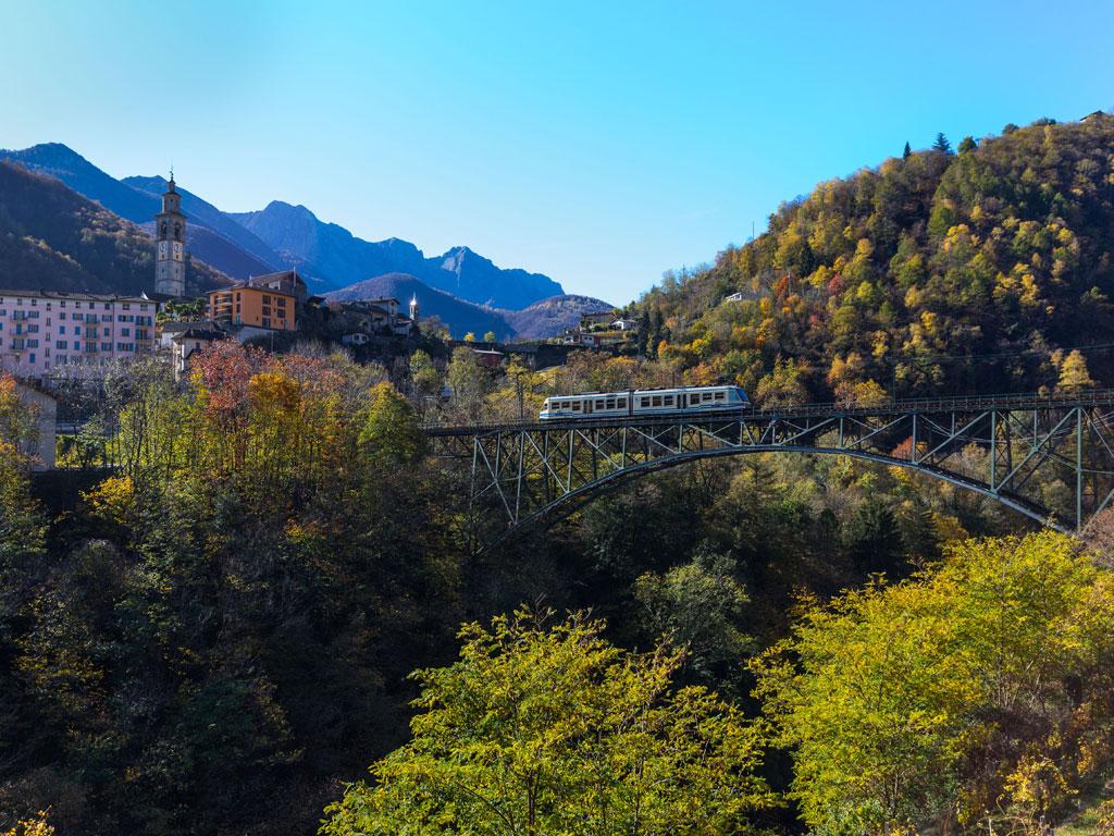 Image 1 - The foliage-train 