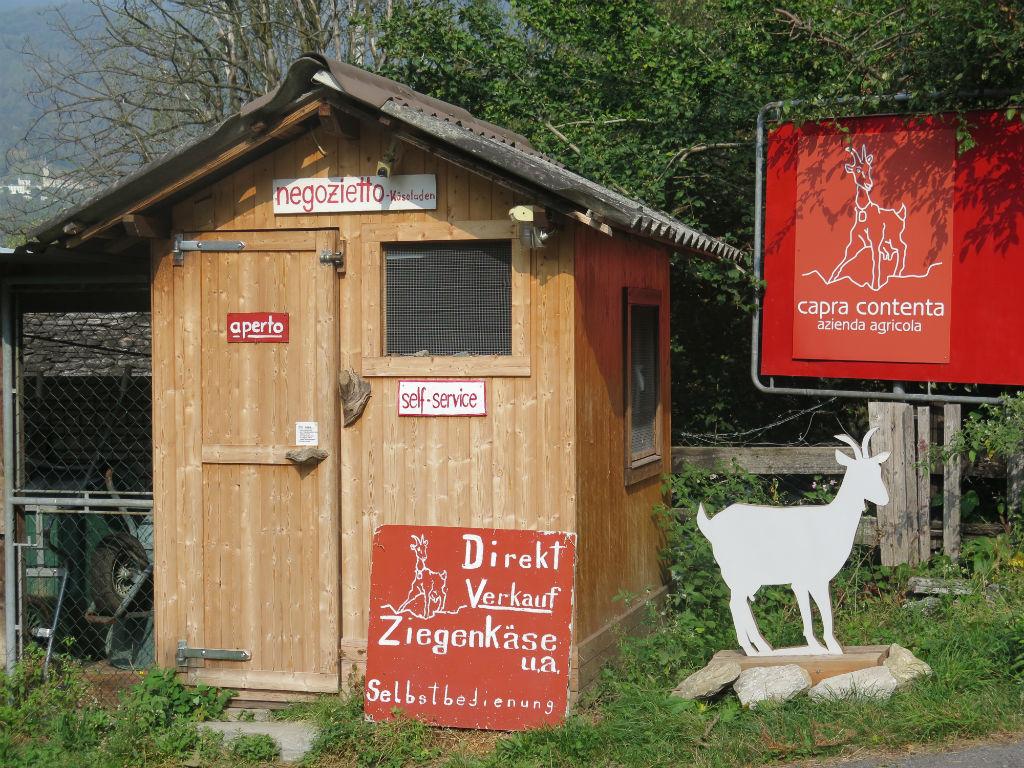 Image 1 - Azienda Capra Contenta