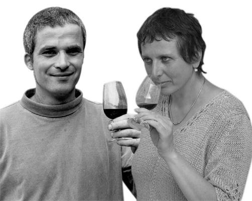 Image 4 - Wine cellar Cavallini