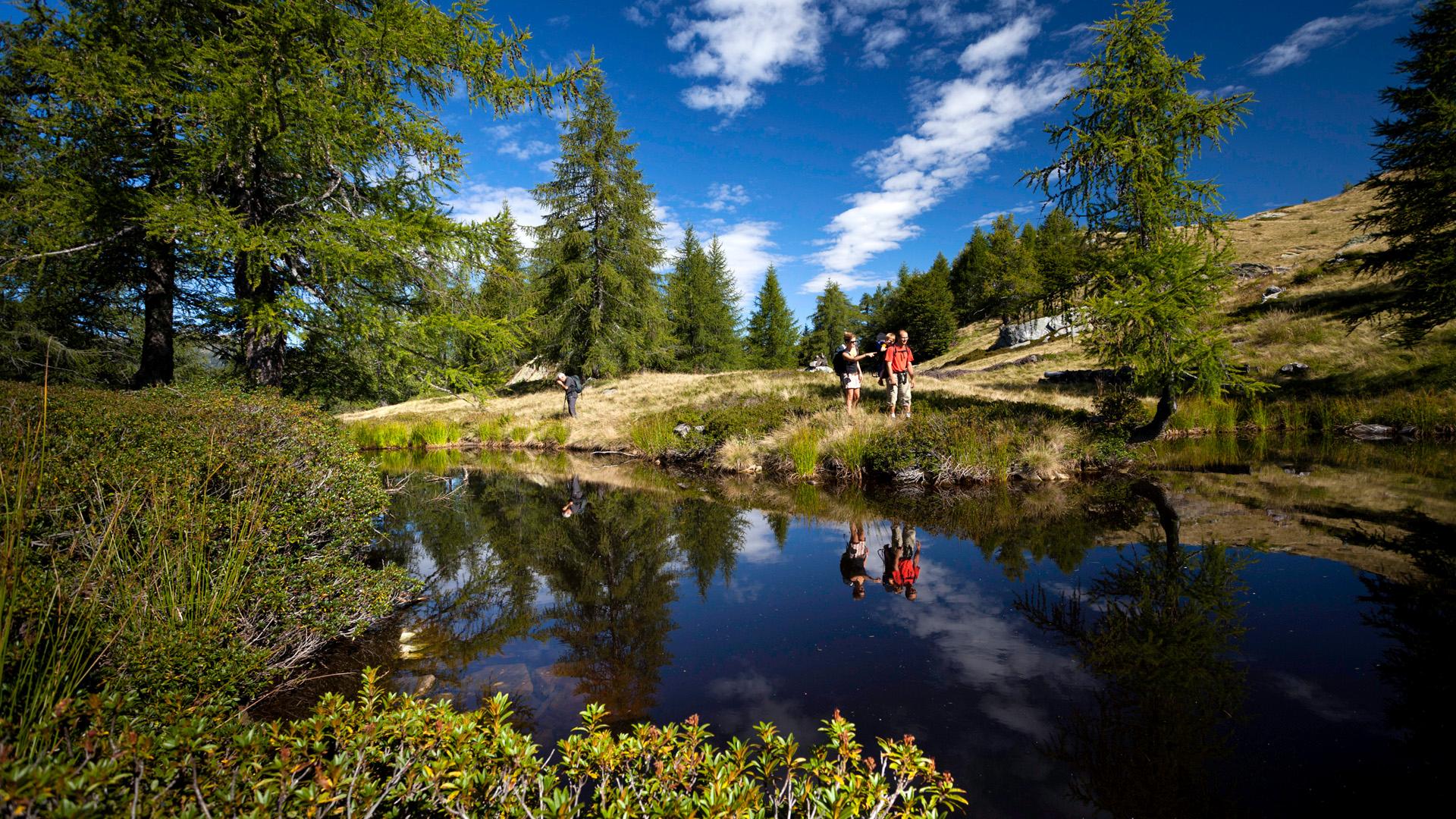 Image 4 - Valle di Lodano Forest Reserve