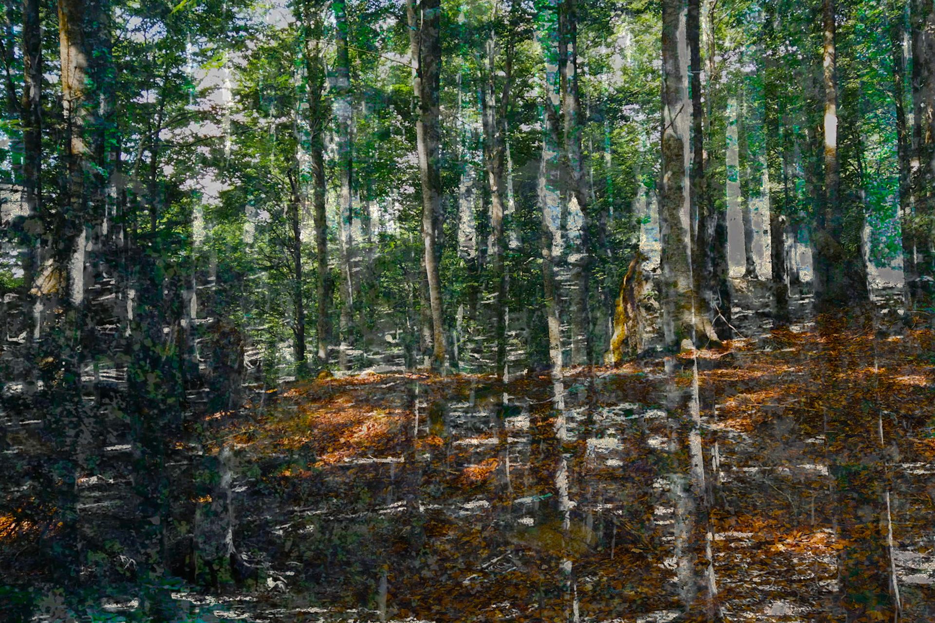 Image 2 - 