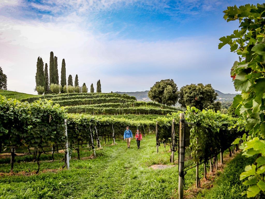 Image 1 - Degusta il Mendrisiotto avec CarPostal